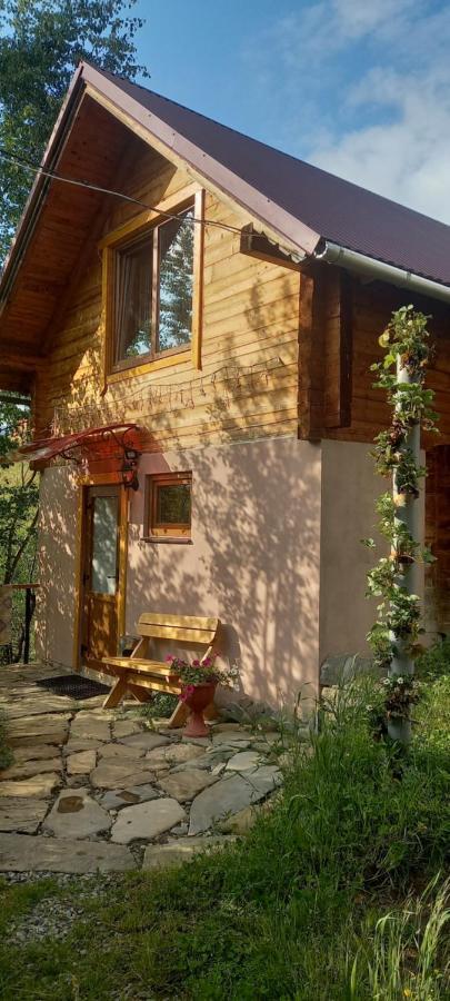 Villa Марічка Marichka à Vorokhta Extérieur photo